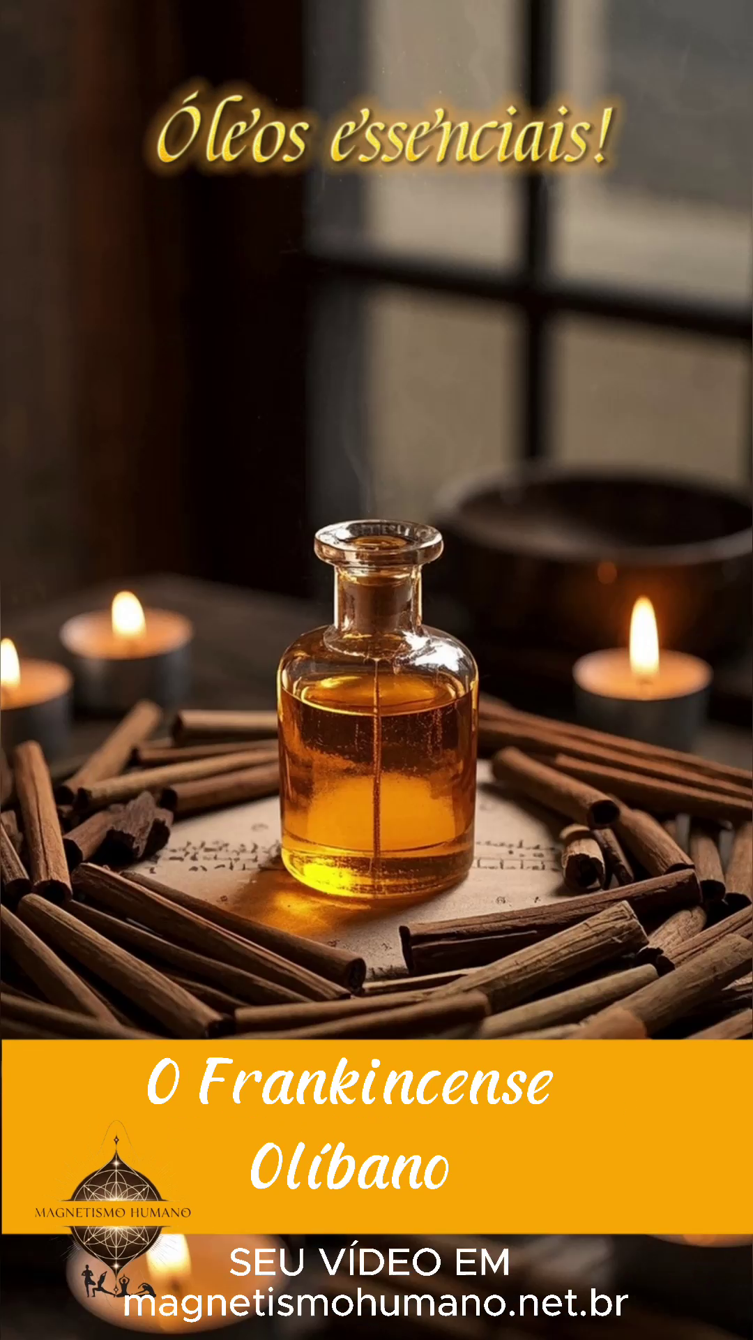 Apresentação de óleos essenciais